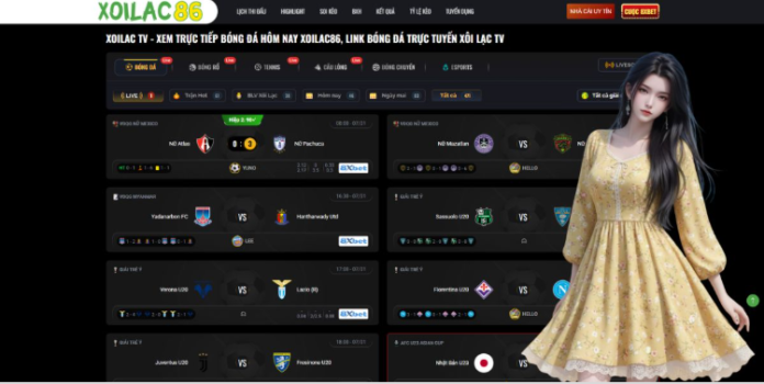 The Rise of the Virtual Stadium Experience