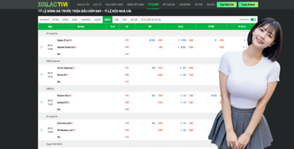 How to Maximize Your Experience on the Platform